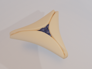 hamantash 3D Modell