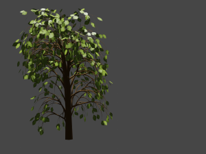 tree 3D Model