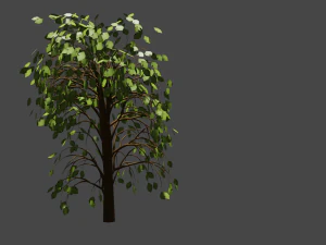 дерево 3D Модель