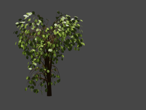 tree 3D Модель