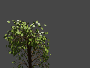 tree 3D Модель