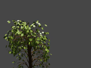 tree 3D Model