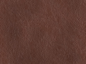 sofa 3D Model