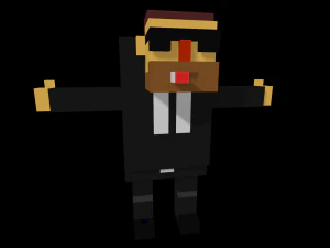 15 characters voxel s pack 3D Model