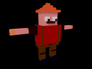 15 characters voxel s pack 3D Model