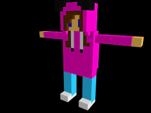 15 characters voxel s pack 3D Model