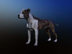dog Model 3D