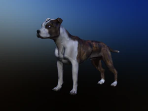 dog 3D Model