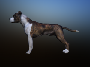 dog Model 3D