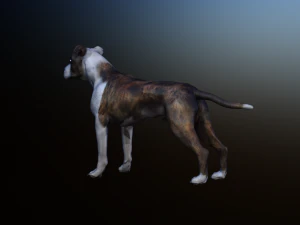 dog 3D Model