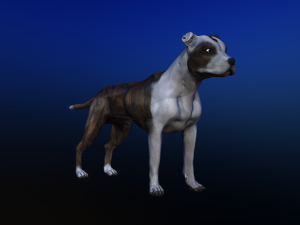 dog Model 3D