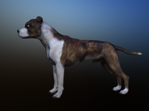 dog Model 3D