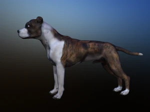 dog 3D Model