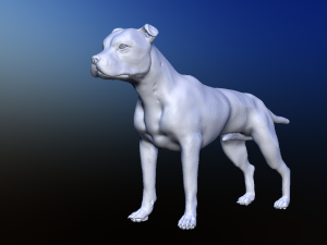 dog Model 3D
