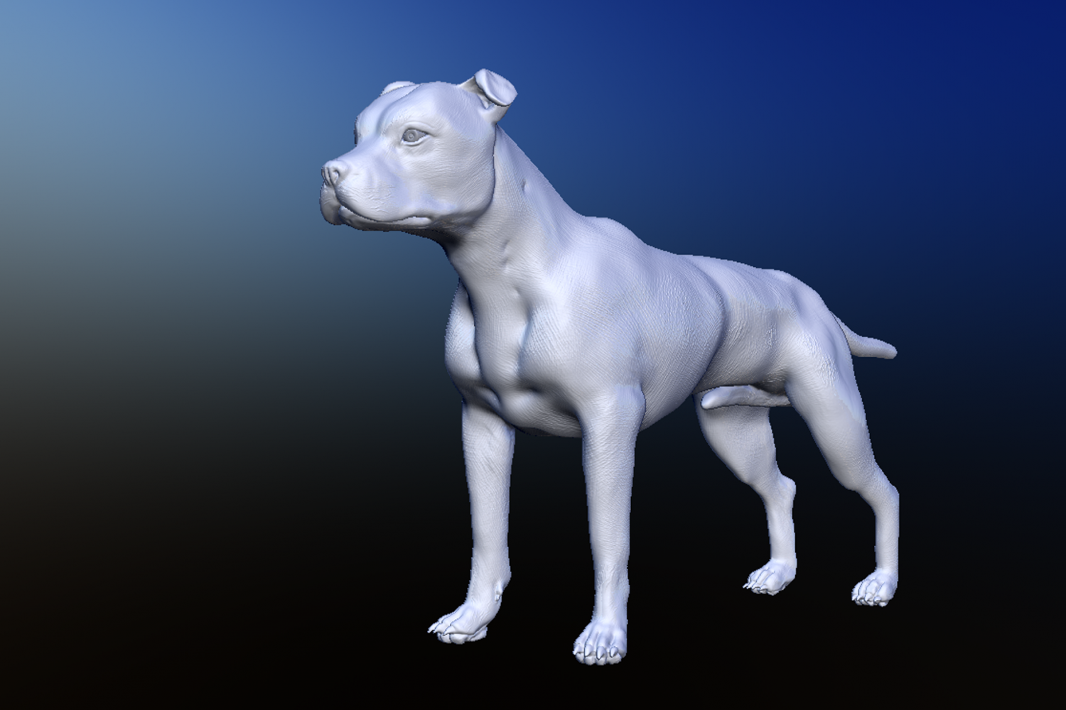 Модельная собака. Бультерьер 3д. Датский дог гибсон. Balloon dog 3d model free. Бультерьер 3д модель.