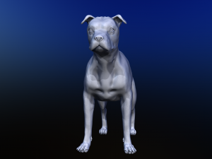 dog Model 3D