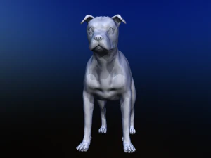 dog 3D Model