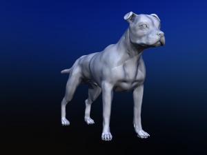 dog Model 3D