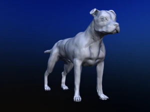 dog 3D Model