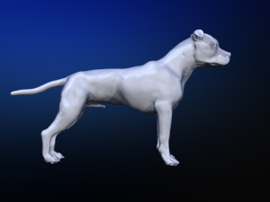dog Model 3D