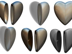 formy 3D Model