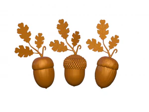 zholudb 3D Model