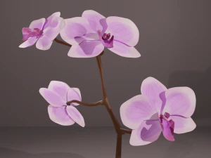 hand painted orchid 3D Model