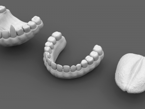 monster jaws 3D 模型
