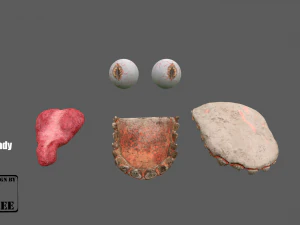 desert seaker 3D Model