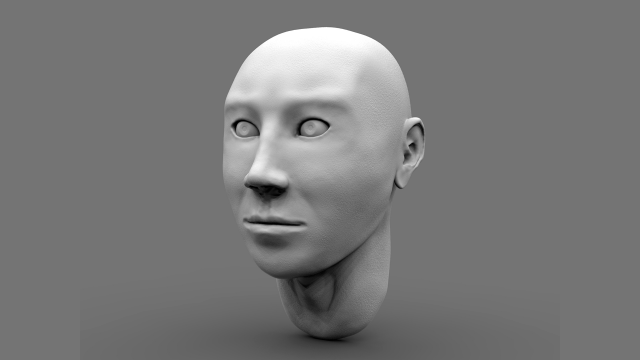 bust Modelo 3D .c4d .max .obj .3ds .fbx .stl .blend 