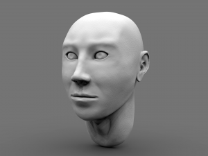bust 3D 模型