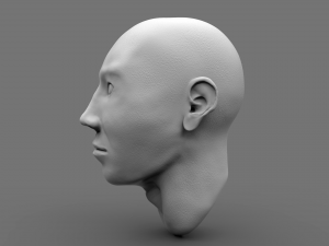 bust Modelo 3D