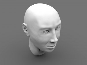 bust Modelo 3D
