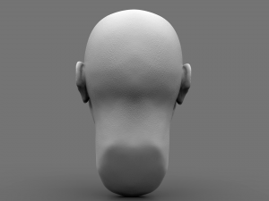 bust Modelo 3D