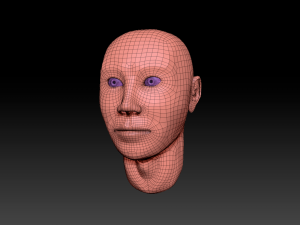 bust Modelo 3D