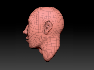 bust Modelo 3D