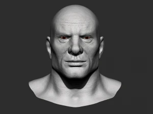 head detalized 3D Model