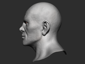head detalized 3D Модель