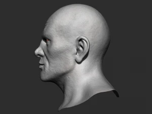 head detalized 3D Model