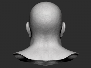 head detalized 3D Модель