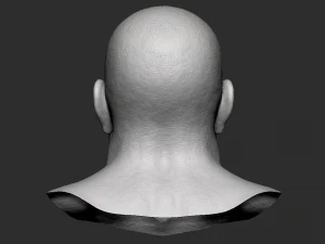 head detalized 3D Model