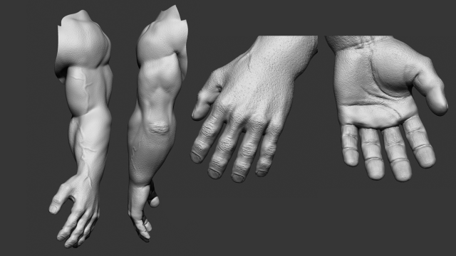 hand detalized 3D Модель .c4d .max .obj .3ds .fbx .stl .blend 
