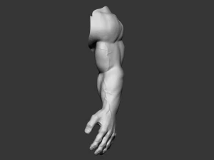 hand detalized 3D Model