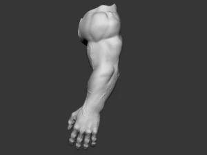 hand detalized 3D Model