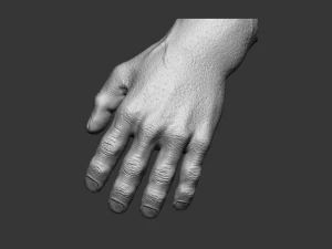 hand detalized 3D Model