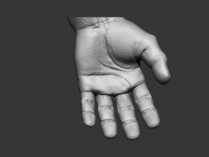 hand detalized 3D Модель