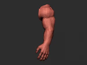 hand detalized 3D Model