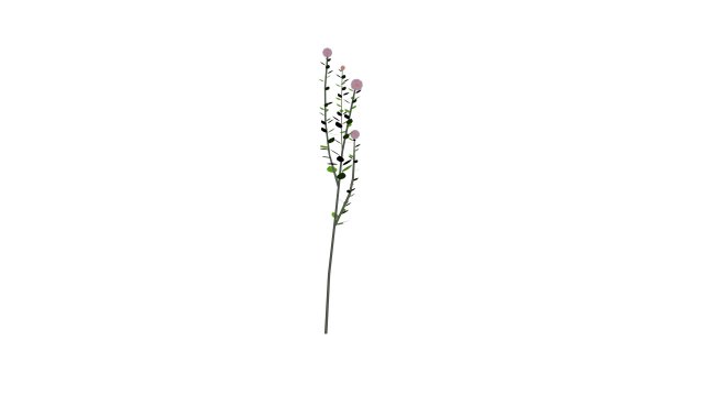 small ball-shaped flowers Modelo 3D .c4d .max .obj .3ds .fbx .stl .blend 