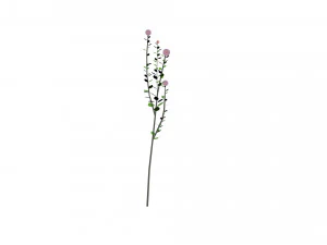 pequenas flores em forma de bola Modelo 3D