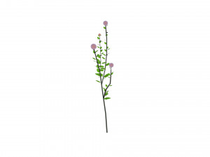 small ball-shaped flowers Modelo 3D
